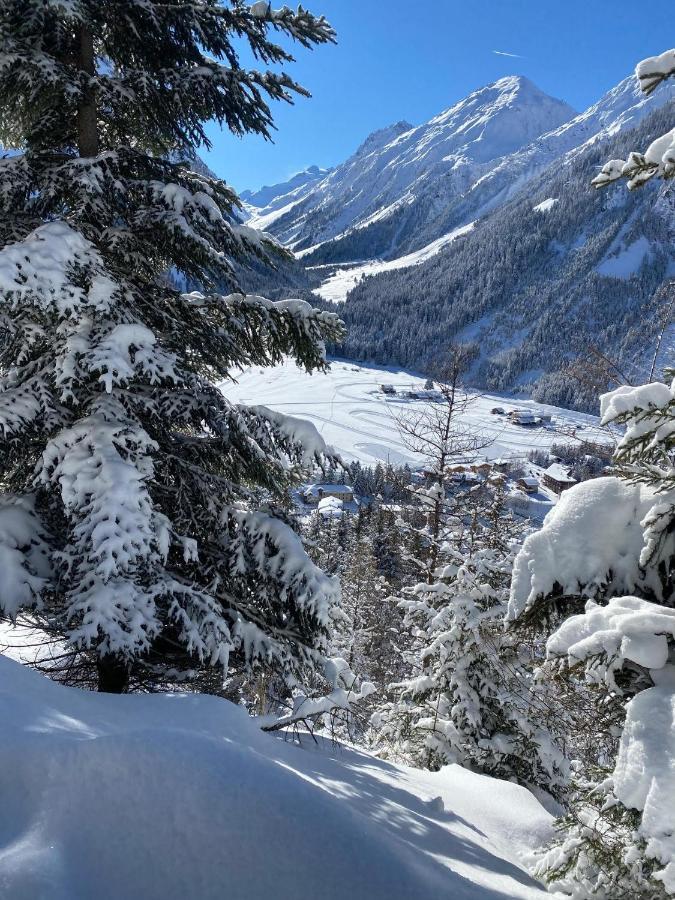 Hotel L'Edelweiss Pralognan-la-Vanoise Luaran gambar